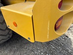 General Appearance with Paint