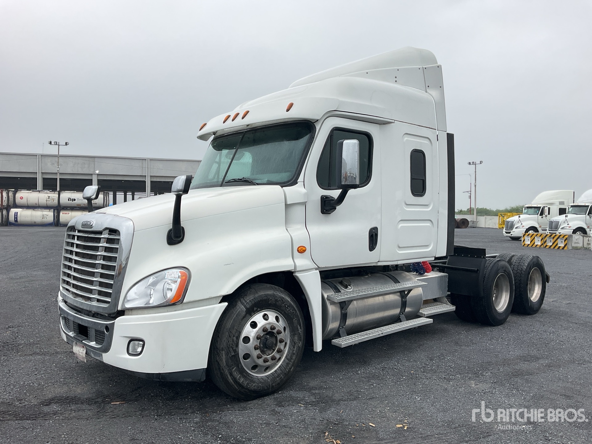 General Appearance with Spin