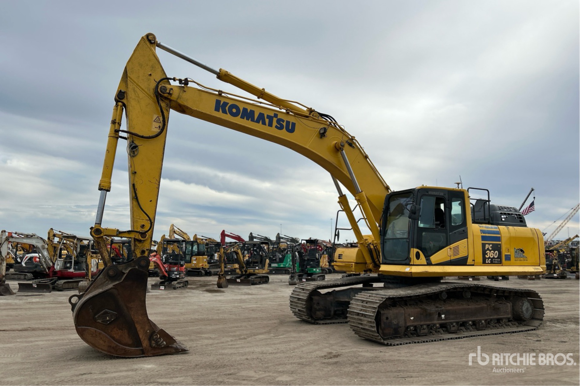 General Appearance with Spin