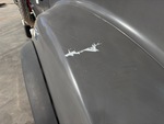 General Appearance with Pintura