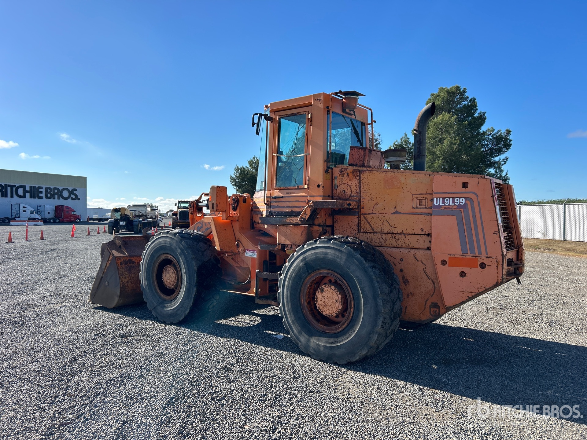 General Appearance with Zdjęcie, lewy dolny róg