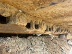 Undercarriage with Right Track Links