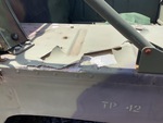 General Appearance with Paint