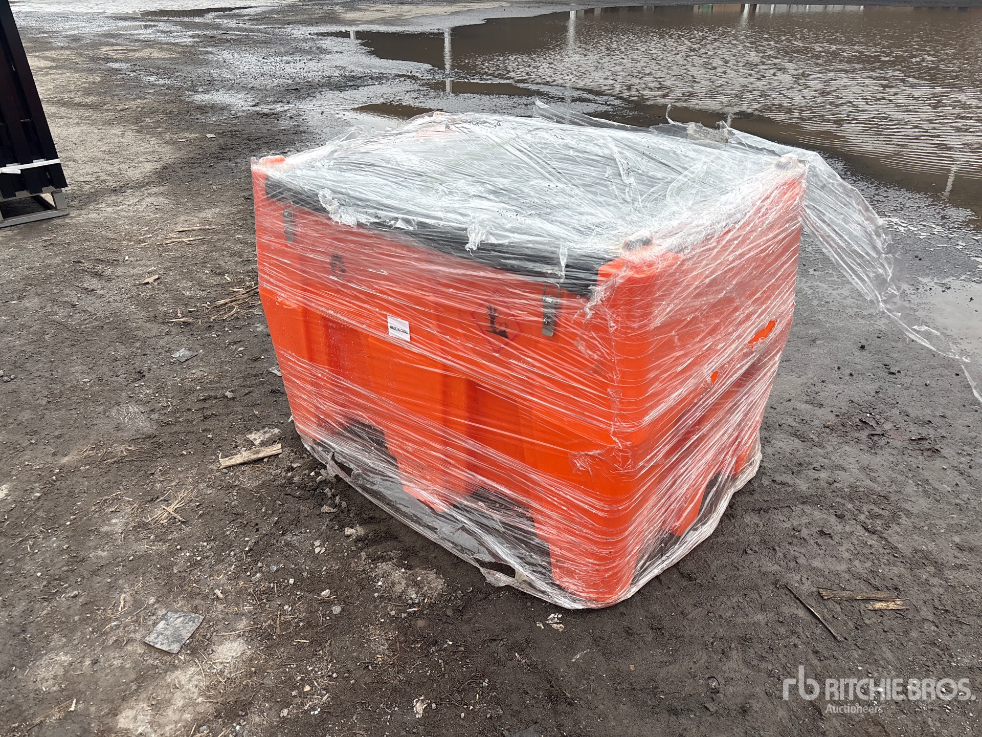 General Appearance with Image, coin arrière droit