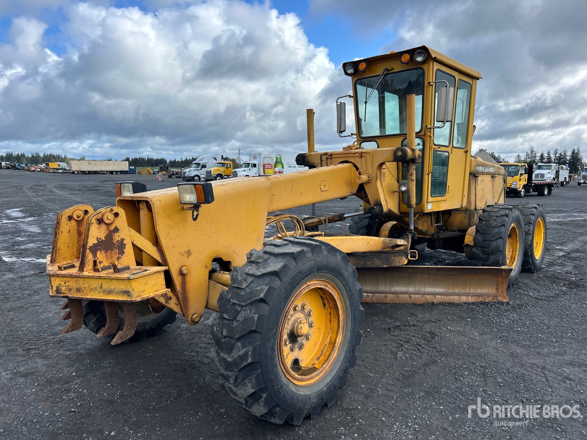 General Appearance with Spin