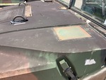 General Appearance with Paint