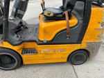 General Appearance with Paint