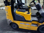 General Appearance with Paint