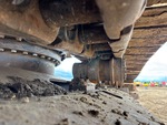 Undercarriage with