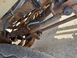 Underbody with