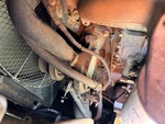 Engine with Cooling System Leaks
