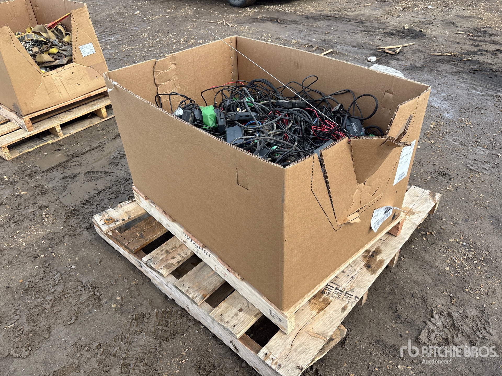 General Appearance with Bild, Ecke hinten links