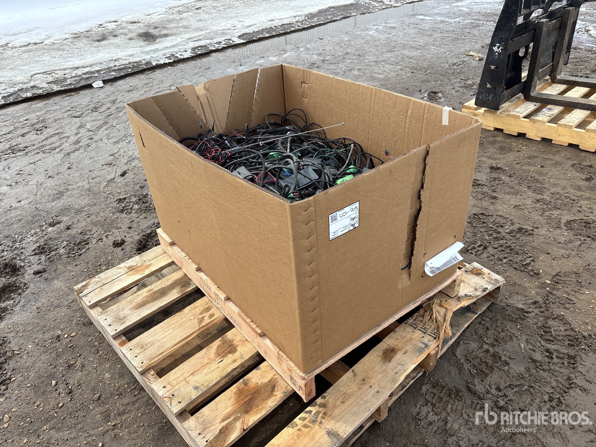 General Appearance with Bild, Ecke vorne rechts