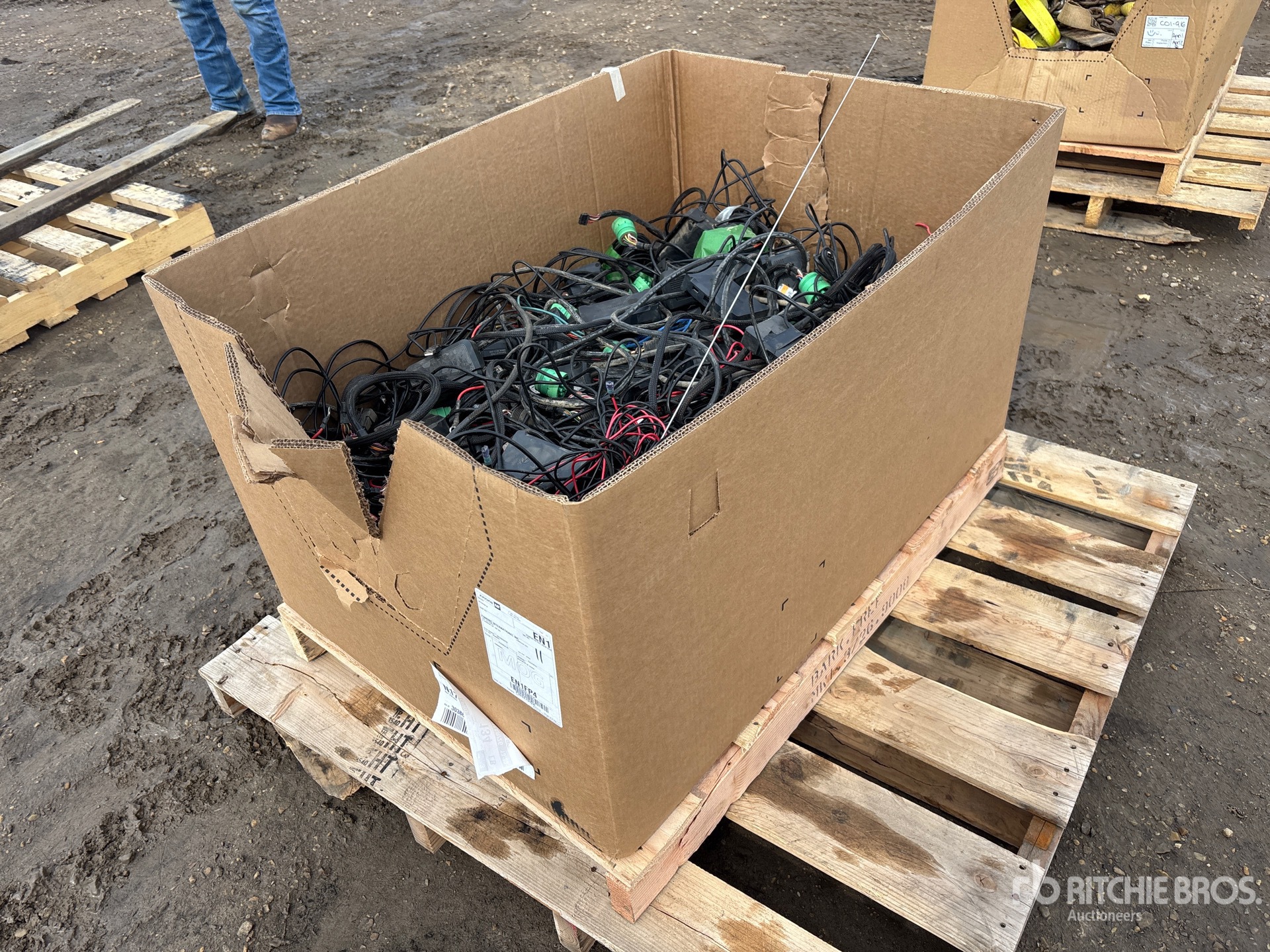 General Appearance with Bild, Ecke hinten rechts