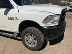 General Appearance with Paint
