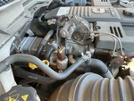 Engine with Exhaust System