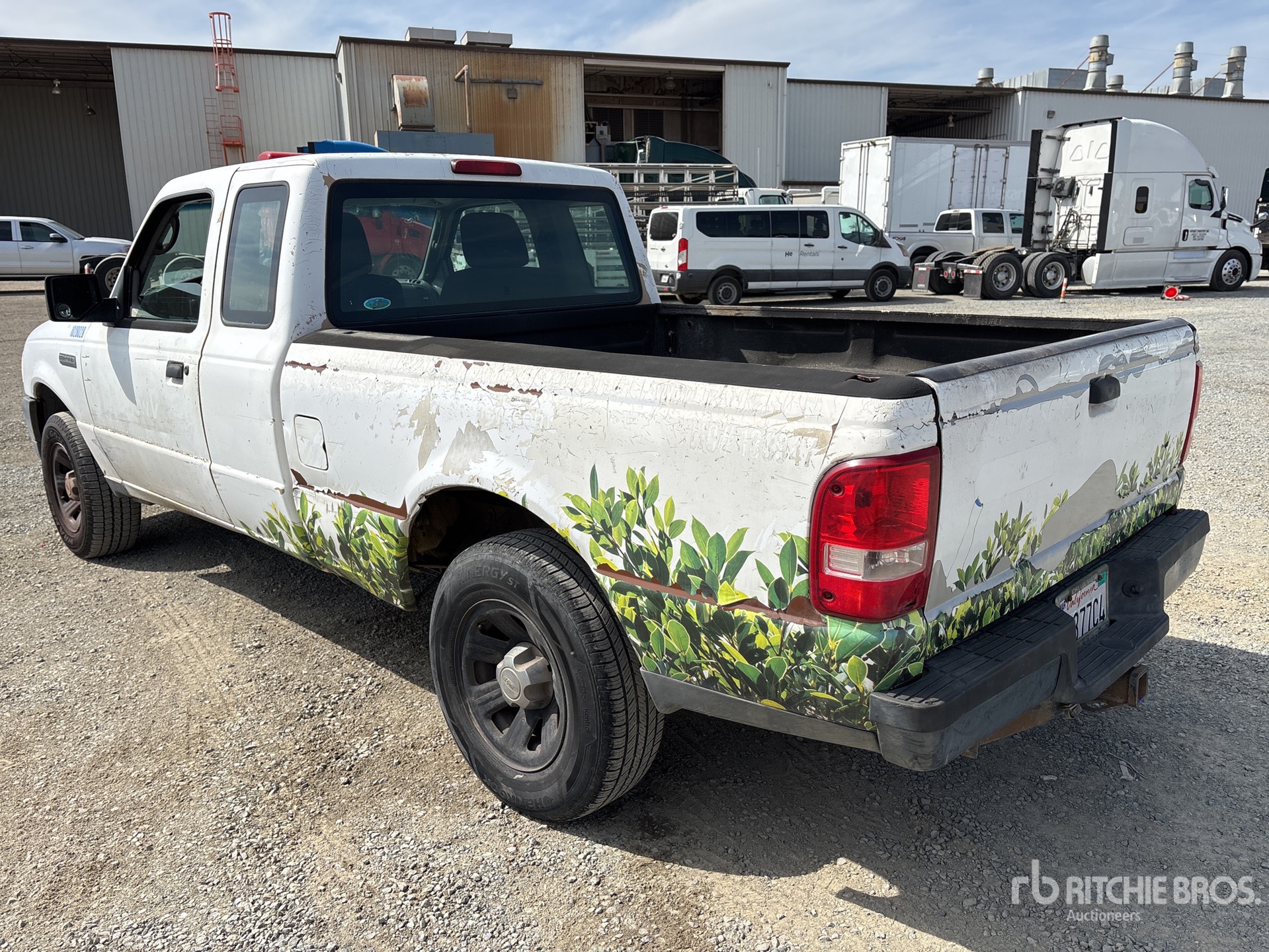 General Appearance with Bild, Ecke hinten links