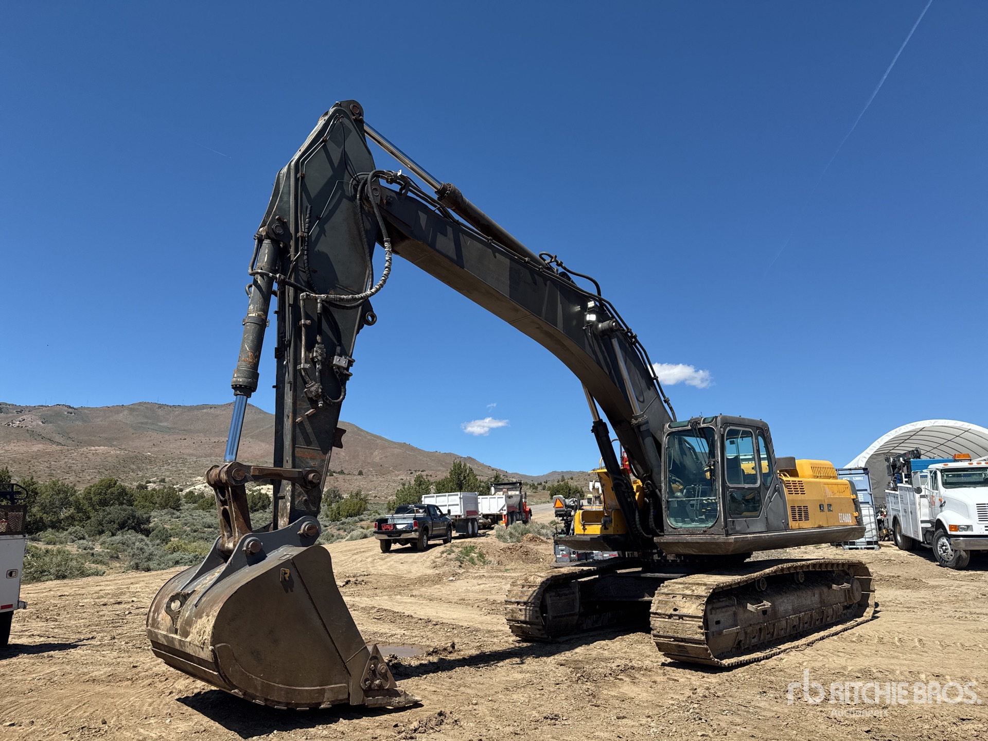 General Appearance with Spin