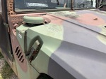 General Appearance with Paint