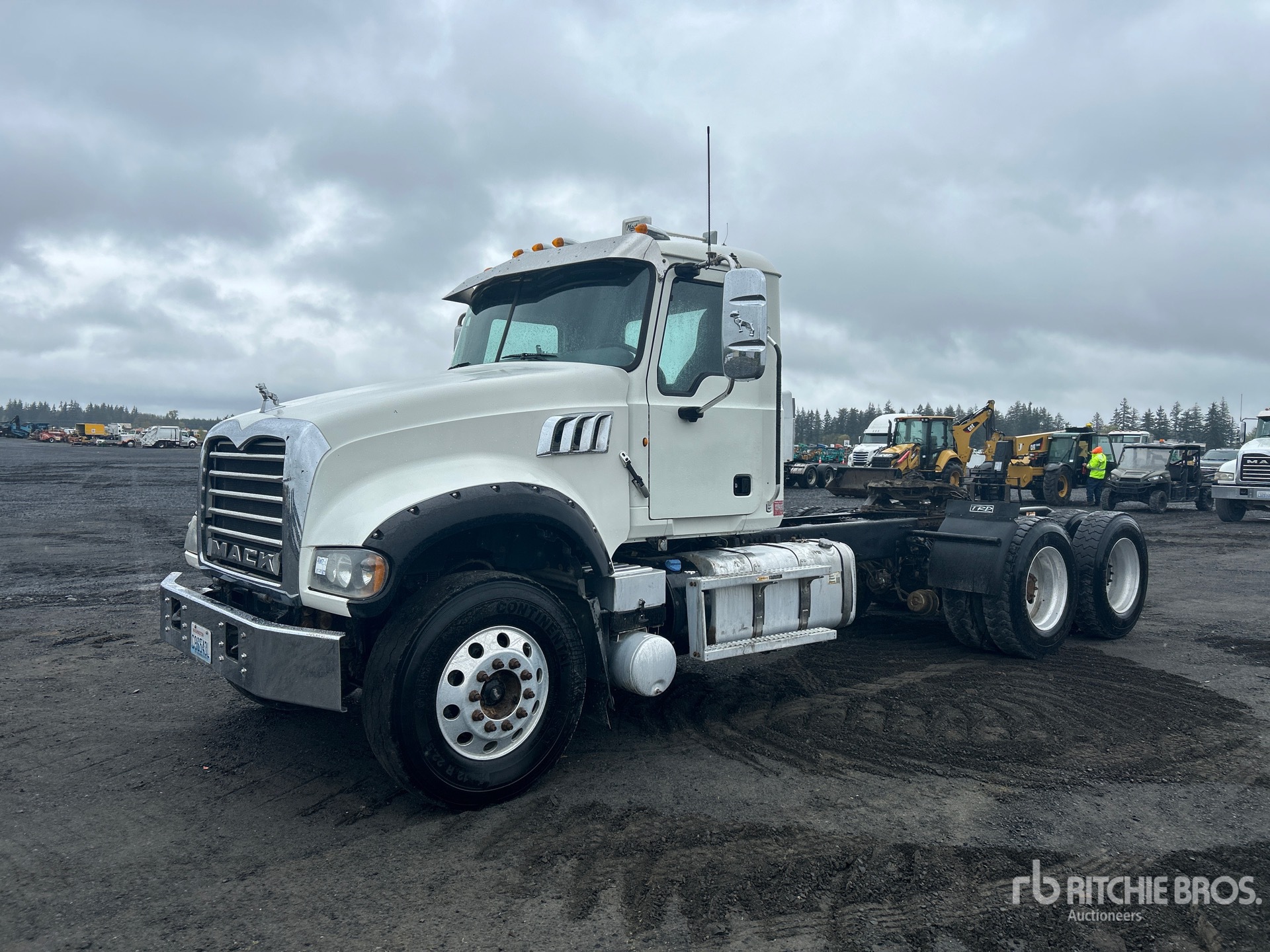 General Appearance with Spin