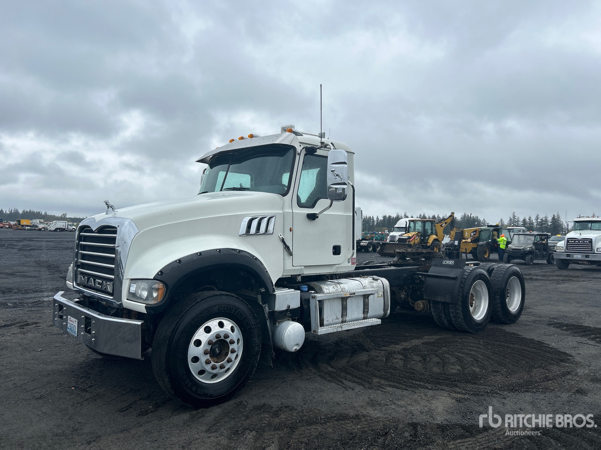 General Appearance with Bild, Ecke vorne links