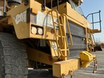 General Appearance with Paint