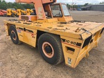 General Appearance with Paint