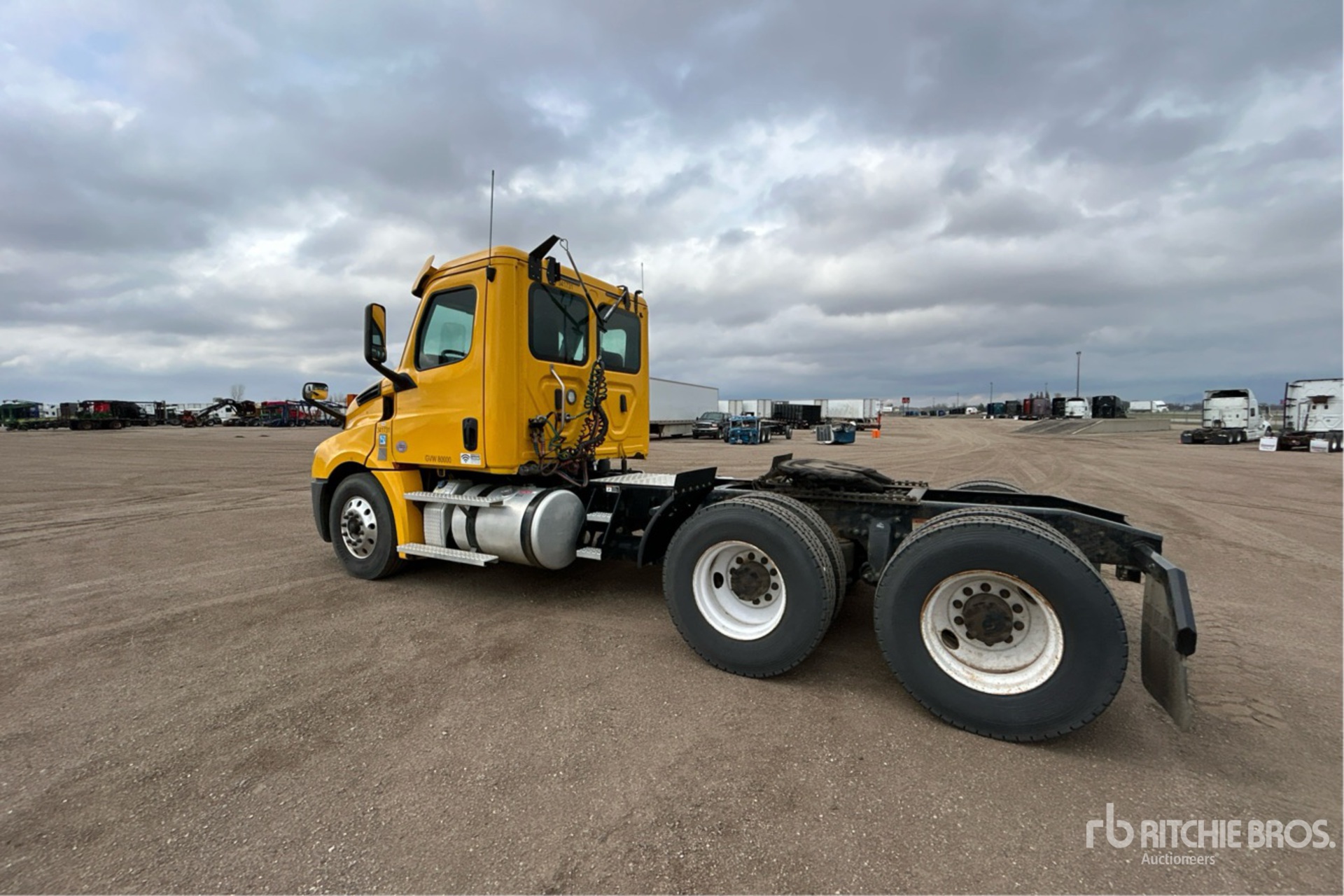 General Appearance with Zdjęcie, lewy dolny róg