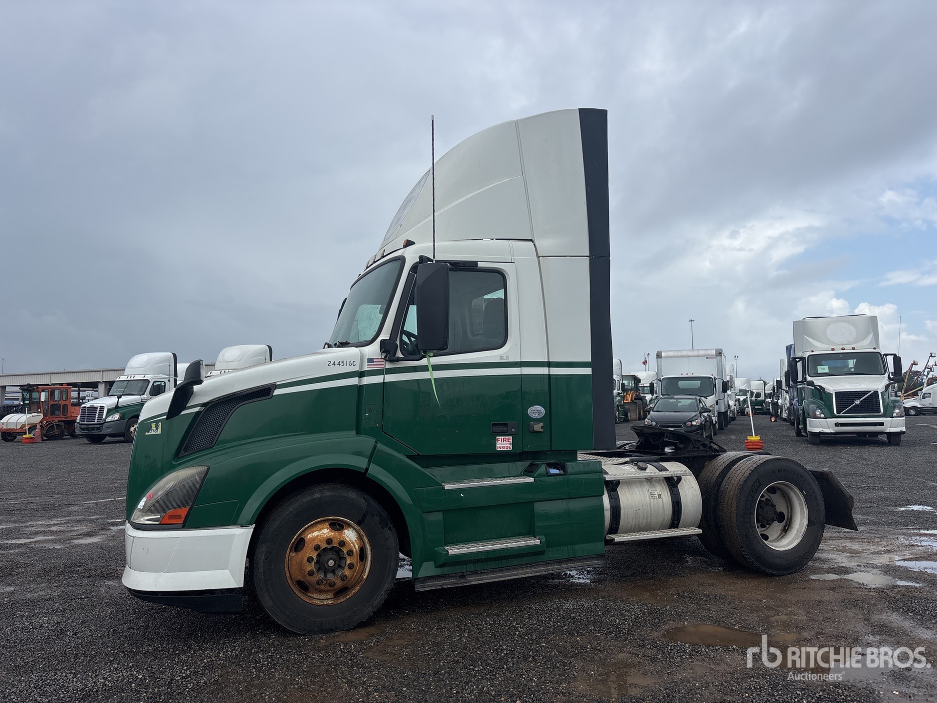 General Appearance with Spin