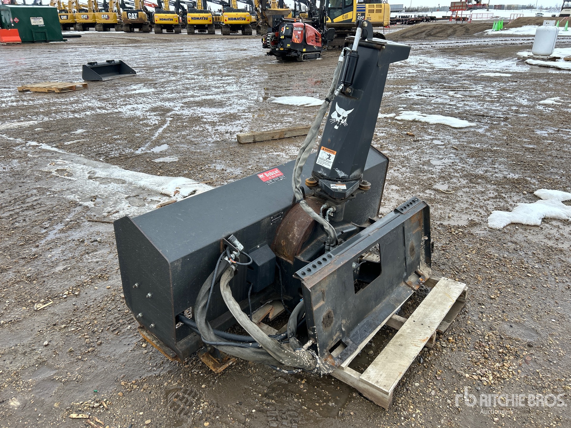 General Appearance with Bild, Ecke hinten links