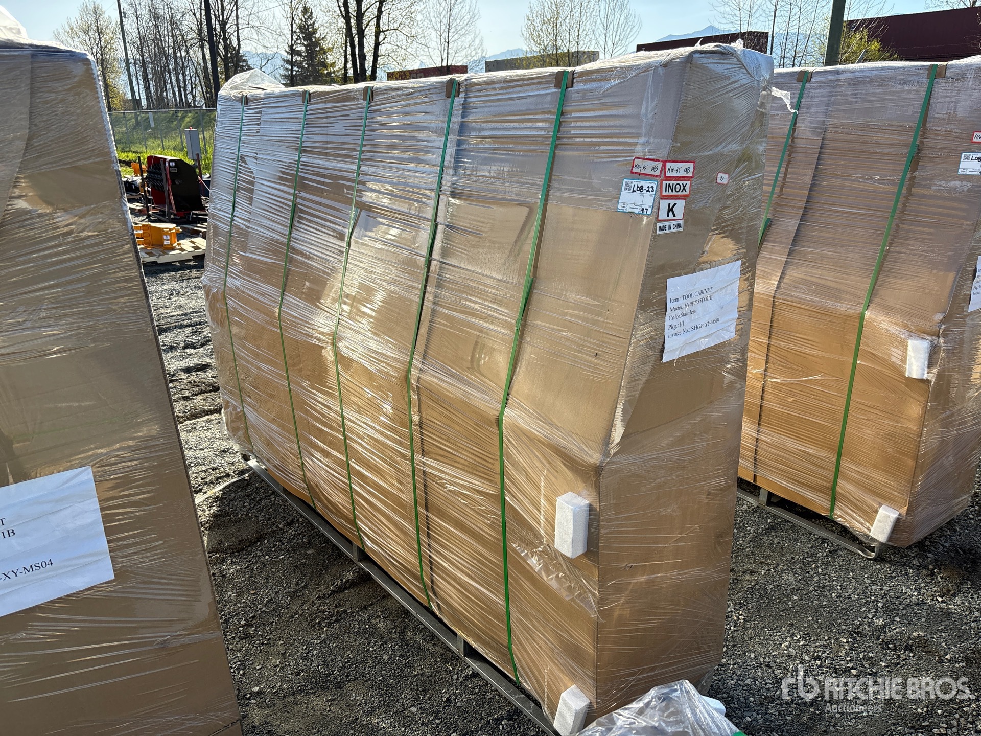 General Appearance with Picture, Left Front Corner