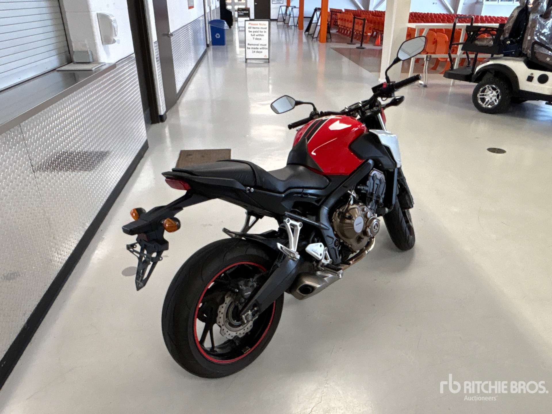 General Appearance with Image, coin arrière droit