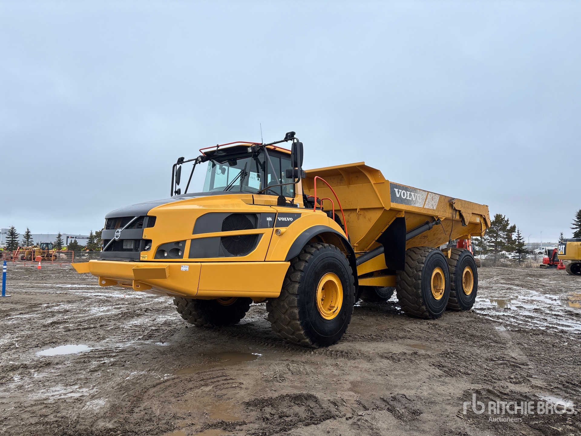 General Appearance with Spin