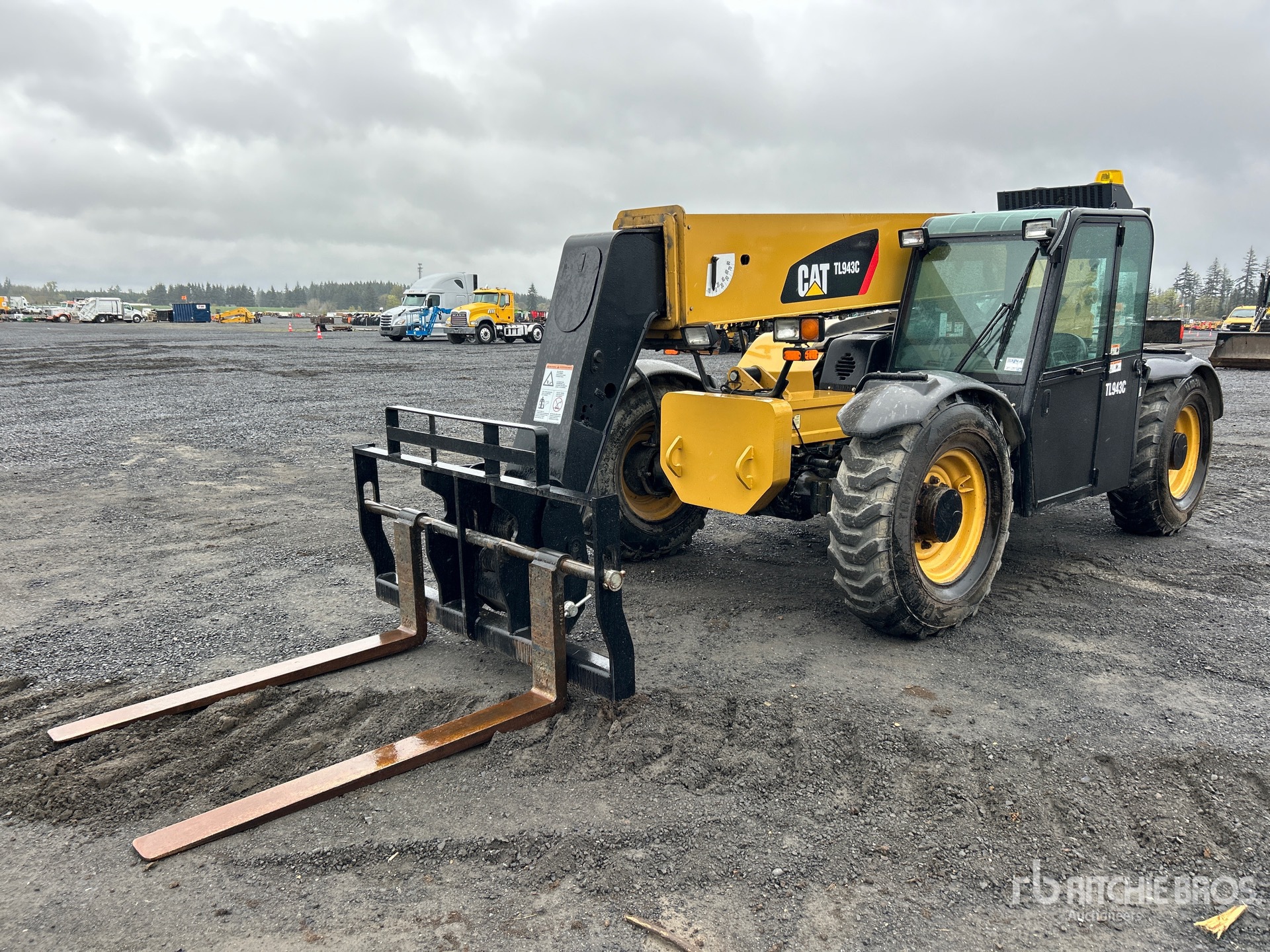 General Appearance with Spin