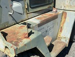 General Appearance with Paint