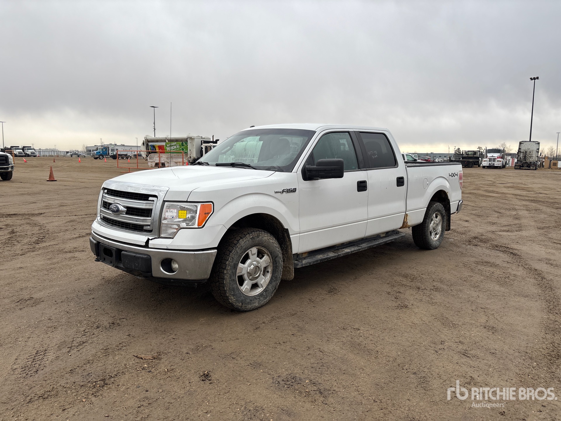 General Appearance with Spin