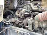 Engine with Exhaust System