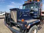 General Appearance with Paint