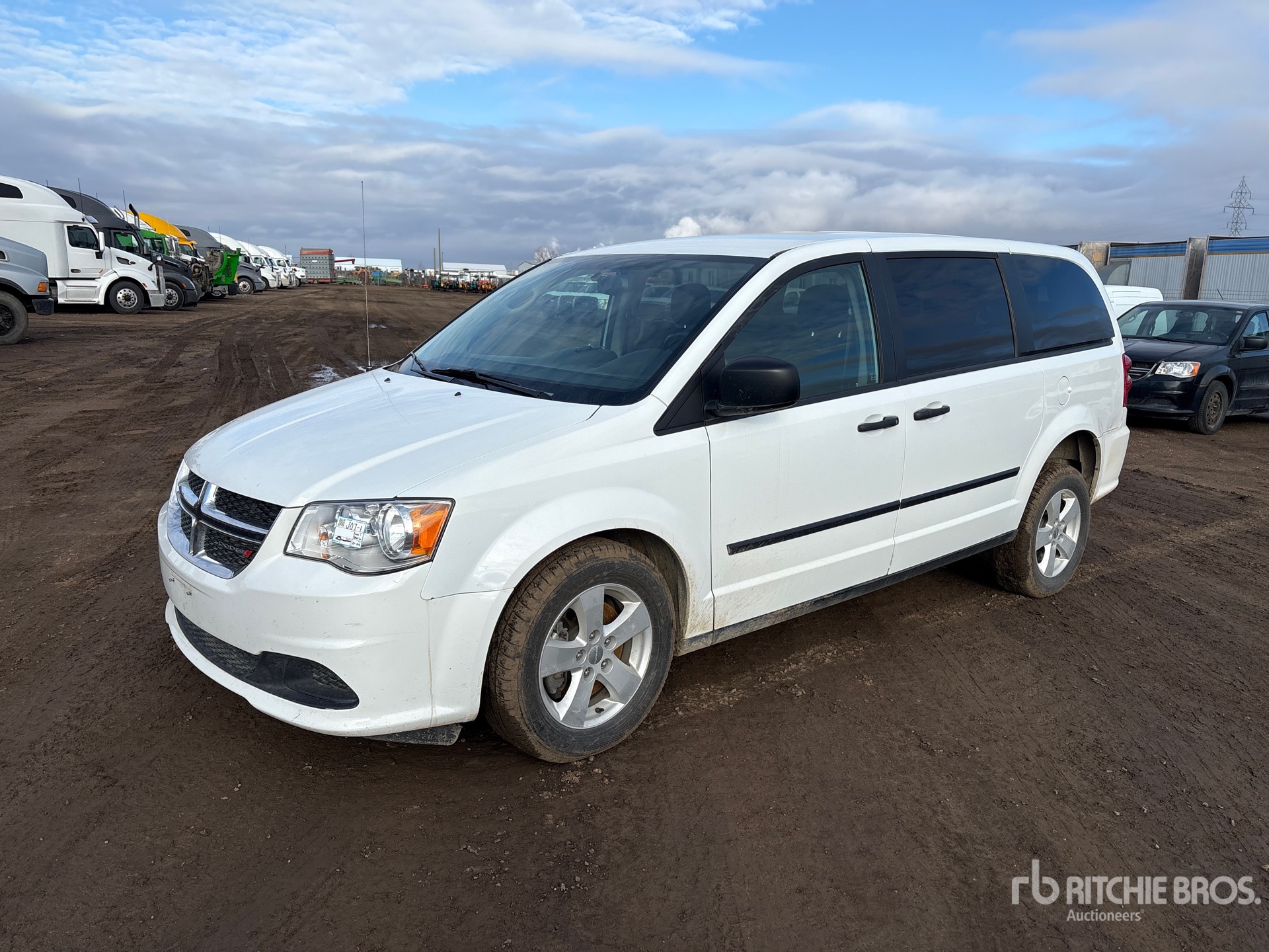 General Appearance with Spin