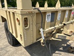 General Appearance with Paint
