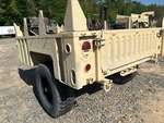 General Appearance with Paint