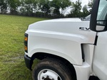 General Appearance with Pintura