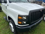 General Appearance with Pintura