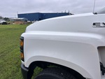 General Appearance with Pintura