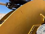 General Appearance with Paint