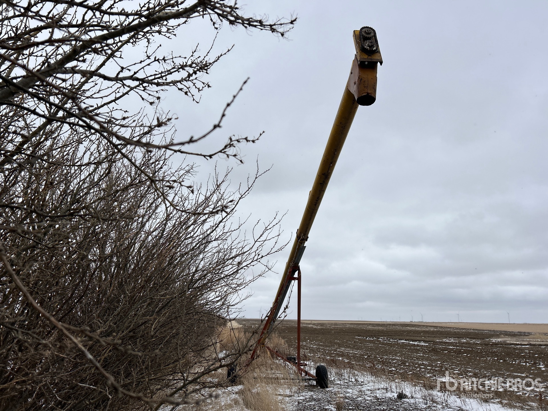 General Appearance with Image, coin arrière gauche