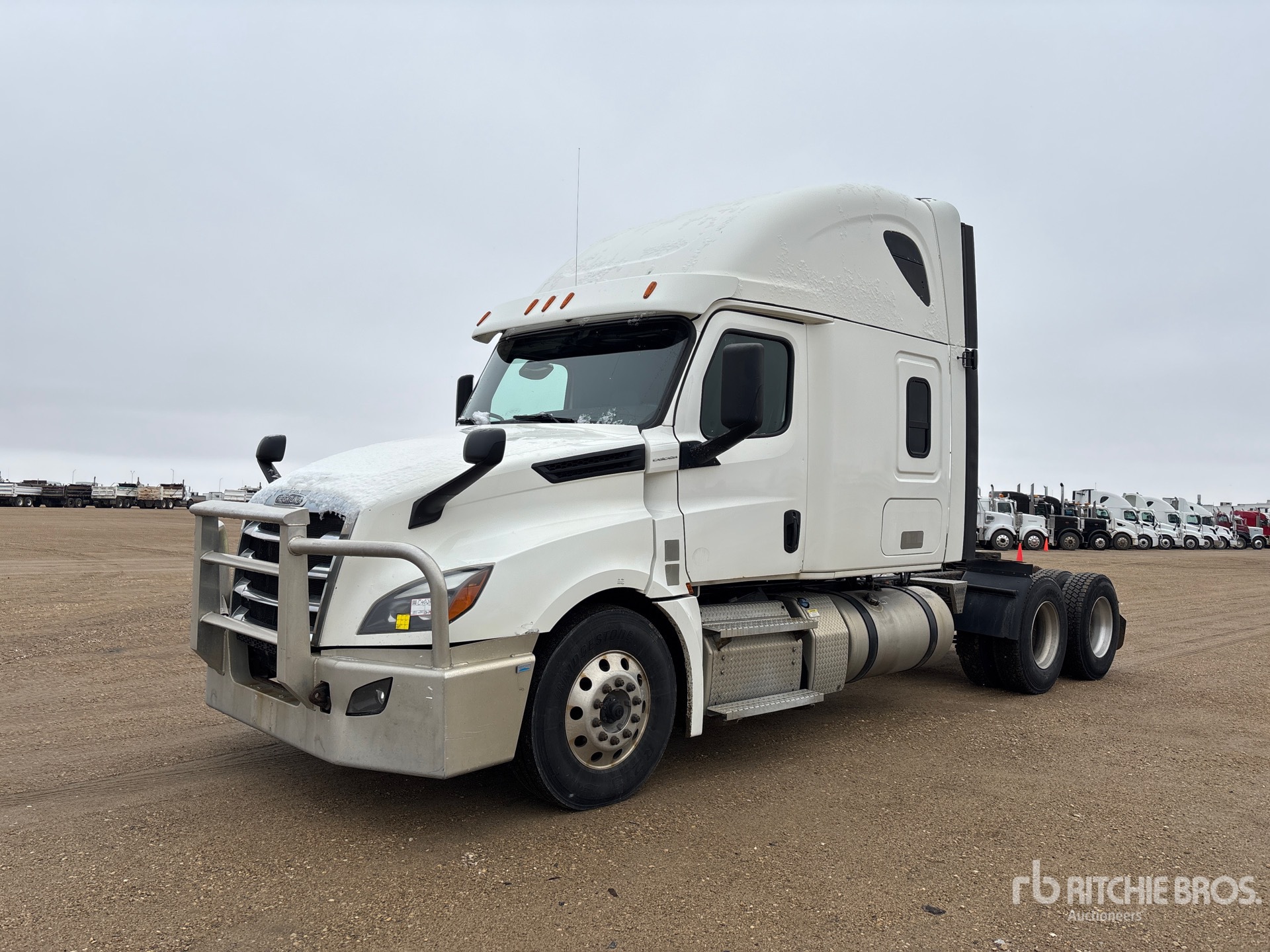 General Appearance with Spin