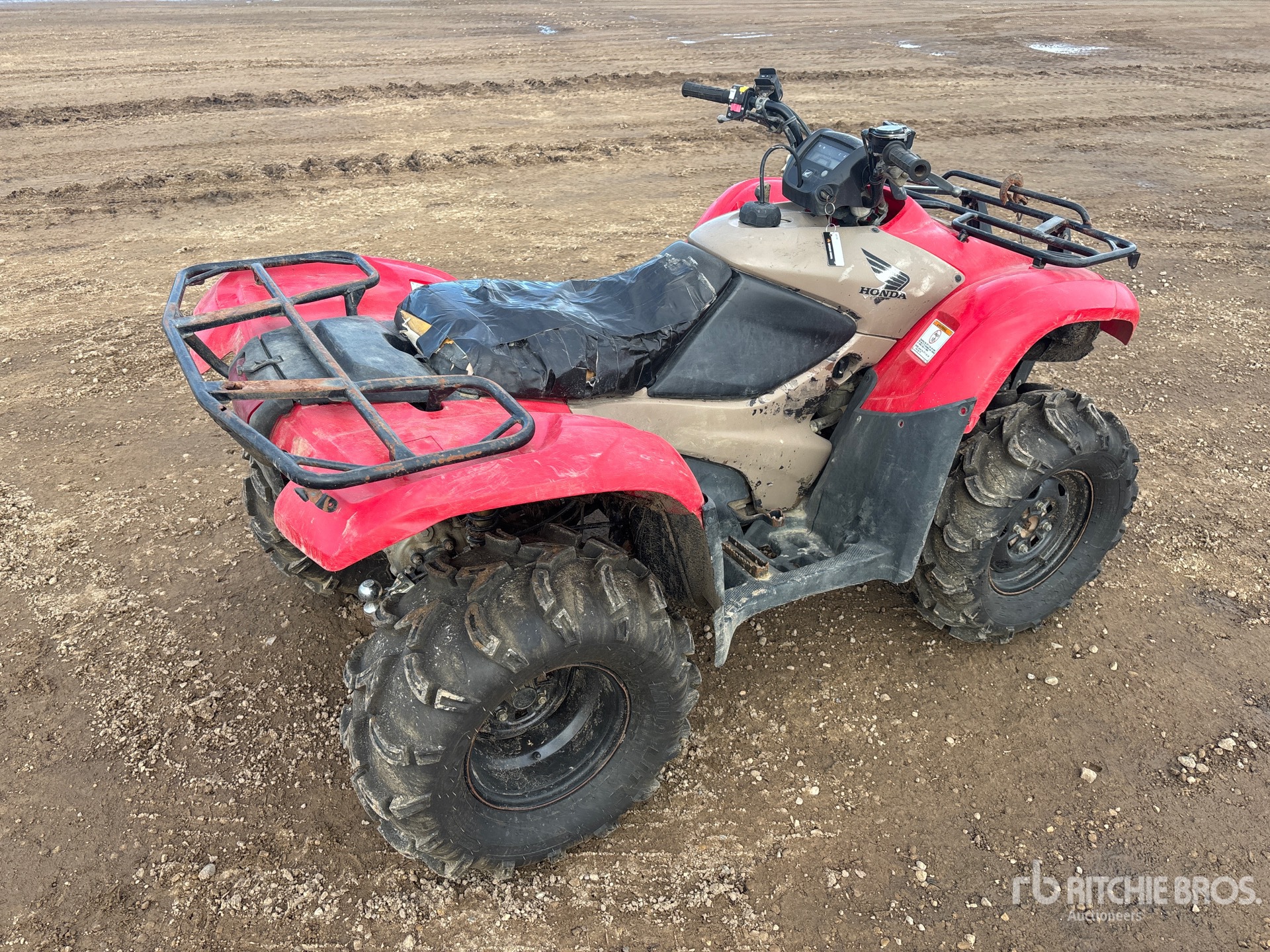 General Appearance with Zdjęcie, prawy dolny róg