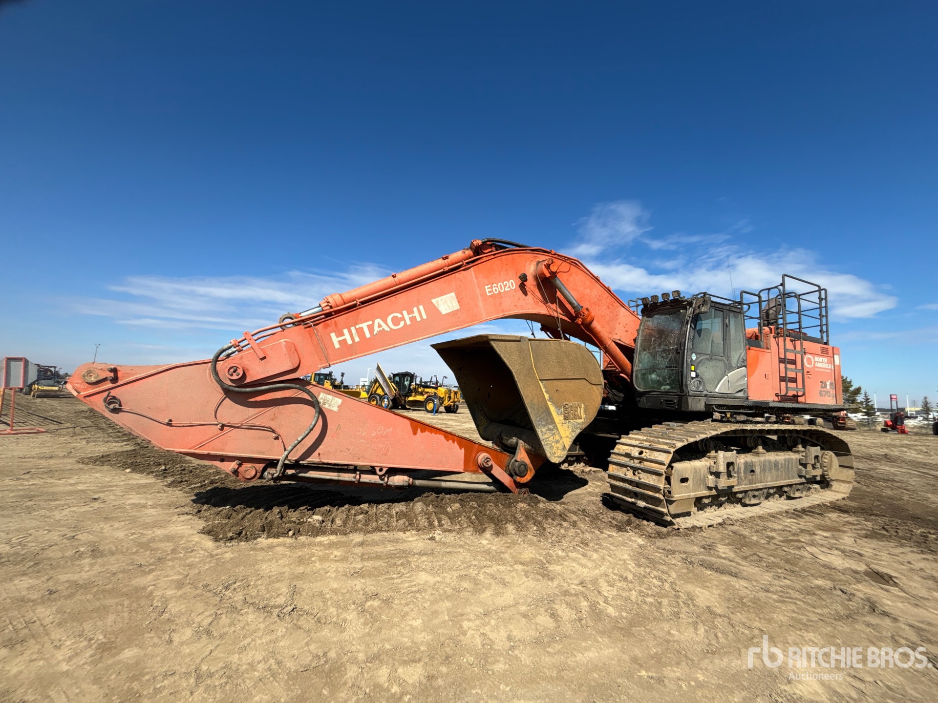 General Appearance with Spin