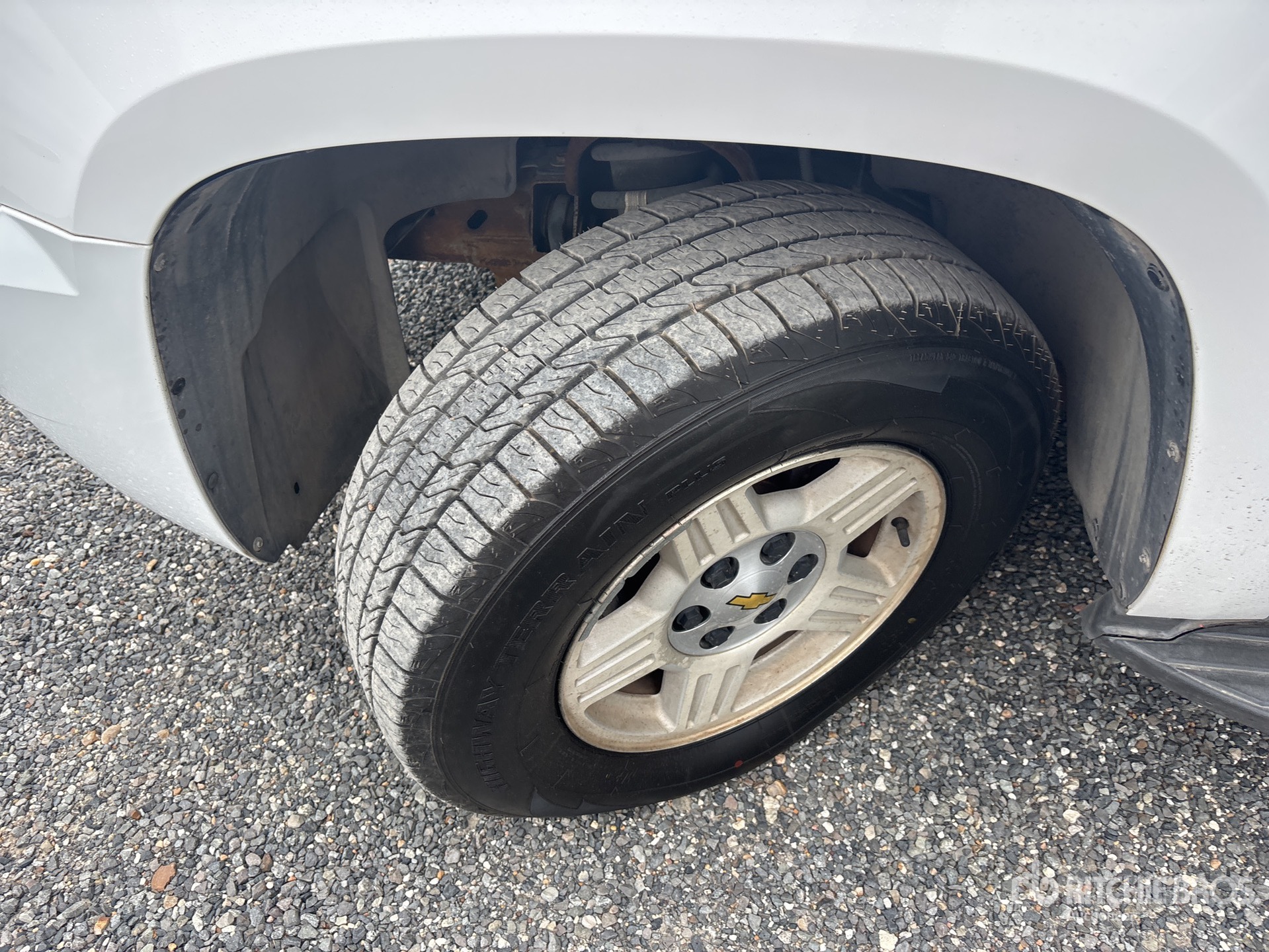 General Appearance with Spin